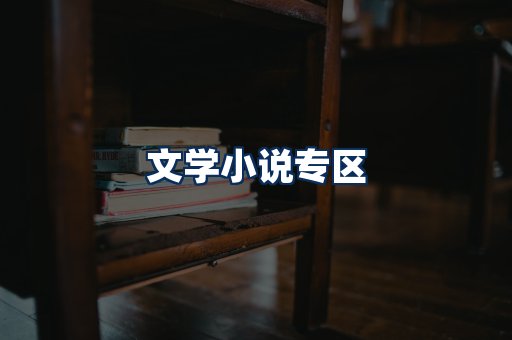 文学小说PDF展示